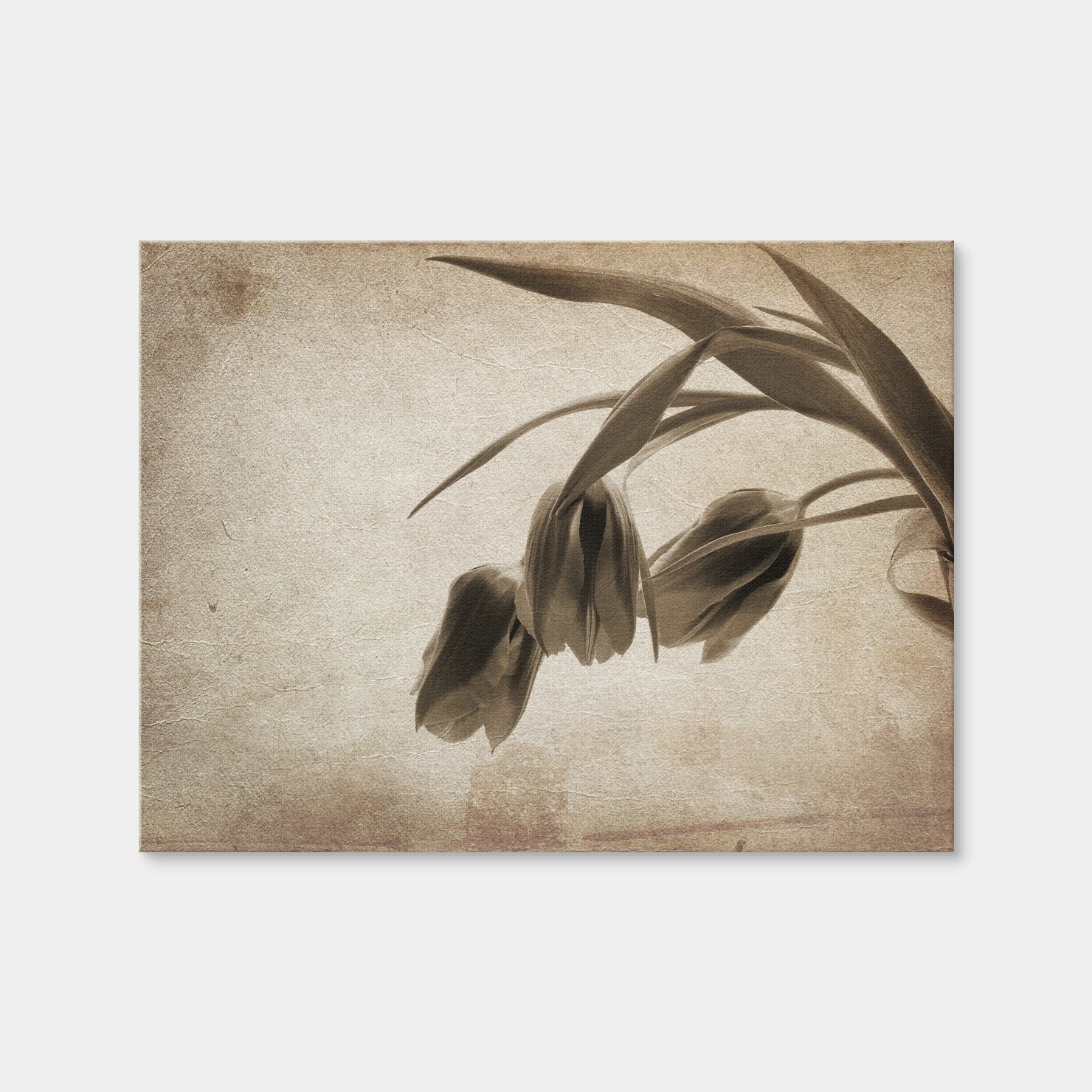 AUTO-MOCKUP WHITE | Vintage Flowers | 1 Piece | Gallery Wrap Canvas | group=4x3