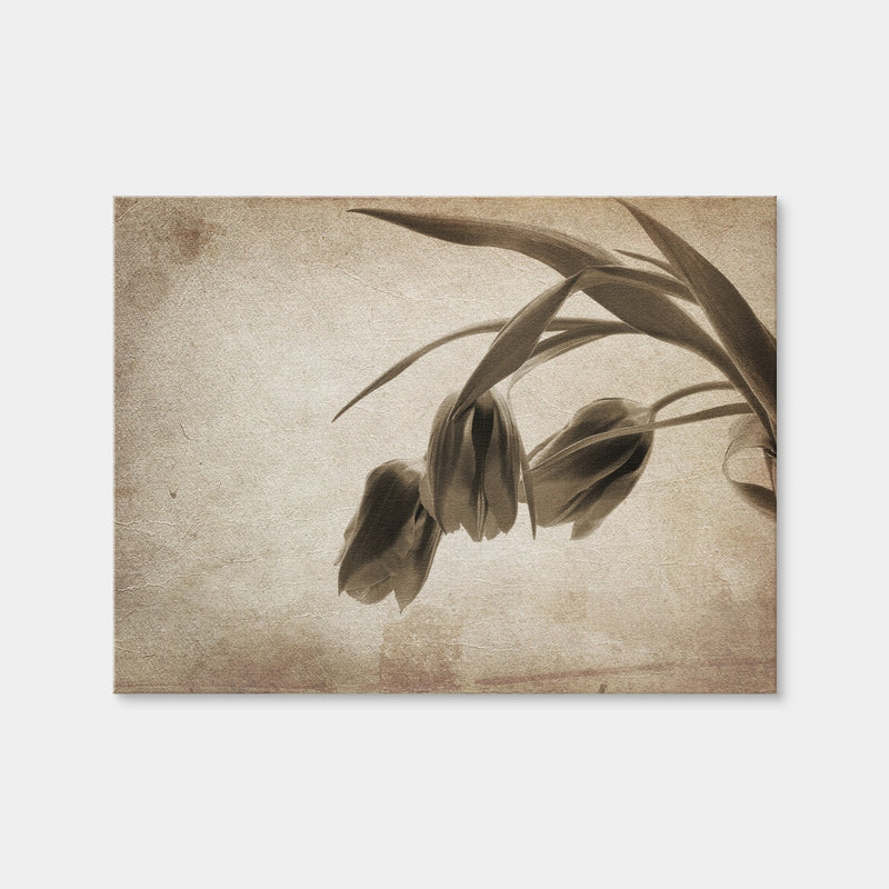 AUTO-MOCKUP WHITE | Vintage Flowers | 1 Piece | Gallery Wrap Canvas | group=4x3