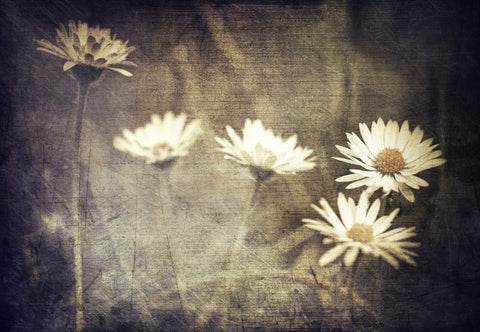 Vintage Meadow Flowers Wall Art
