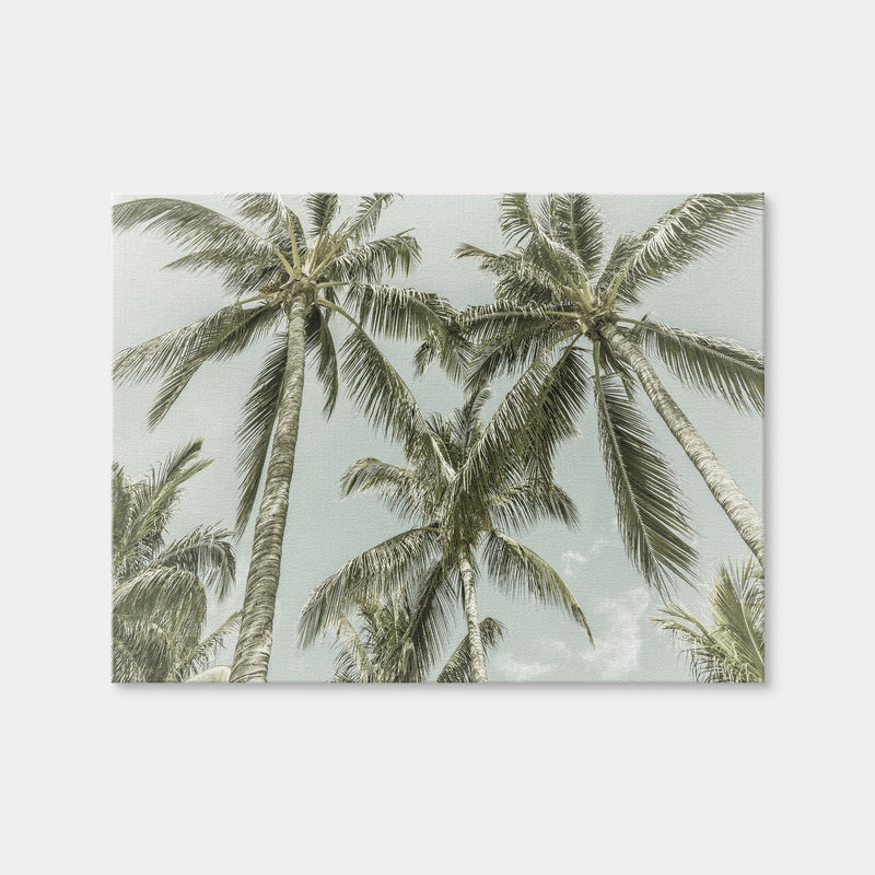 AUTO-MOCKUP WHITE | Vintage Palm Trees | 1 Piece | Gallery Wrap | group=4x3