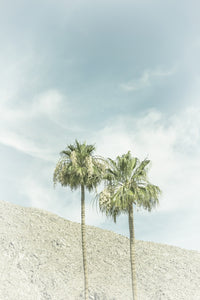 Vintage Palm Trees in the desert Wall Art