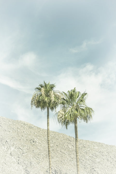 Vintage Palm Trees in the desert Wall Art