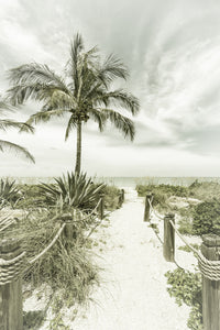 Vintage path to the beach Wall Art
