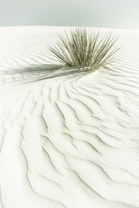 WHITE SANDS Idyllic scenery Wall Art