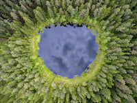 Water Hole Wall Art