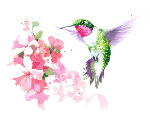 Watercolor Hummingbird Wall Art