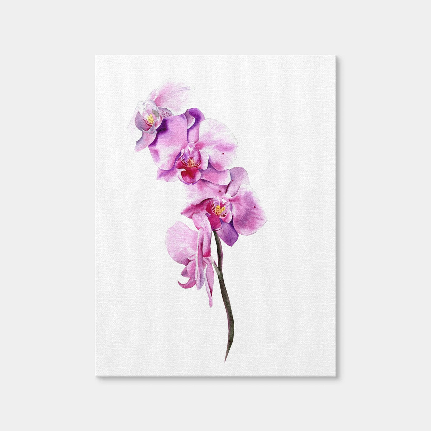 AUTO-MOCKUP WHITE | Watercolor Orchid | 1 Piece | Gallery Wrap Canvas | group=3x4