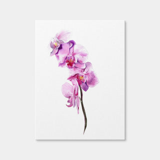 AUTO-MOCKUP WHITE | Watercolor Orchid | 1 Piece | Gallery Wrap Canvas | group=3x4