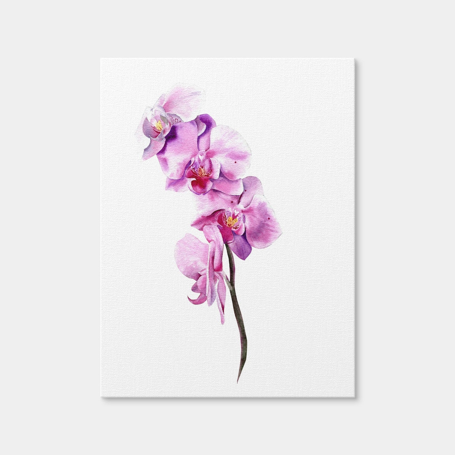 AUTO-MOCKUP WHITE | Watercolor Orchid | 1 Piece | Gallery Wrap Canvas | group=3x4