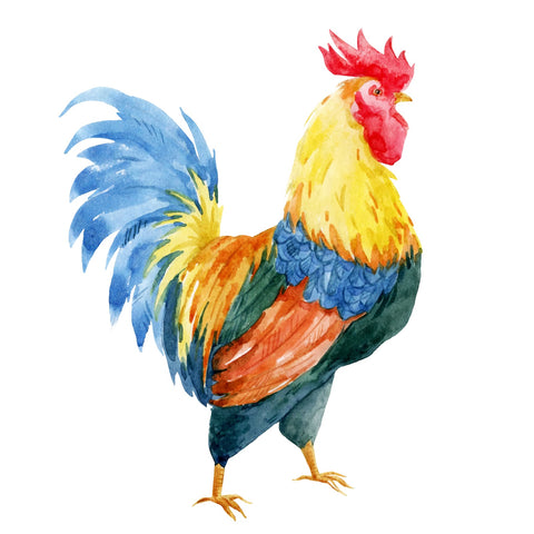 Watercolor rooster Wall Art