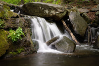 Waterfall Portrait Wall Art