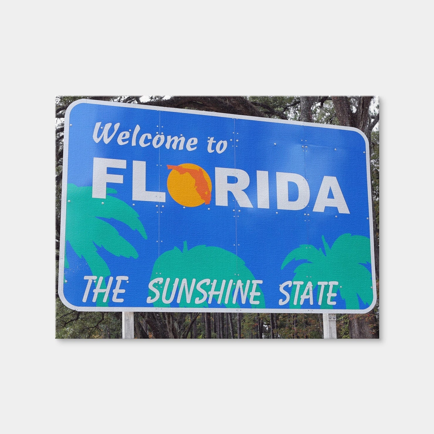 AUTO-MOCKUP WHITE | Welcome to Florida | 1 Piece | Gallery Wrap | group=4x3