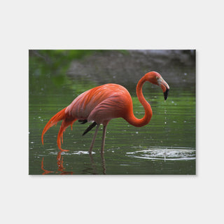 AUTO-MOCKUP WHITE | Wet Flamingo | 1 Piece | Gallery Wrap | group=4x3