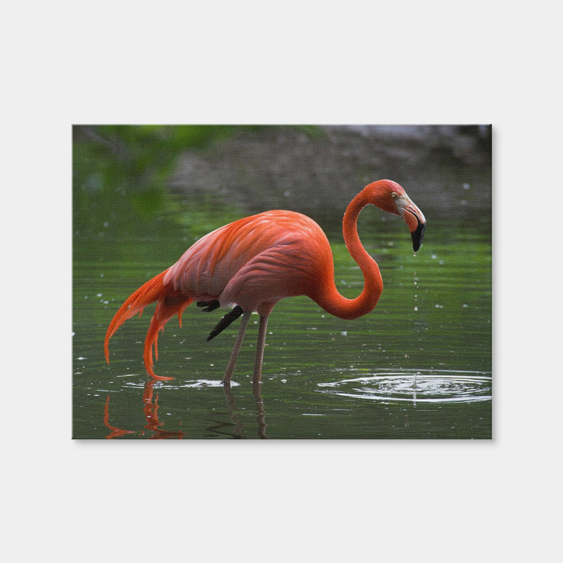 AUTO-MOCKUP WHITE | Wet Flamingo | 1 Piece | Gallery Wrap | group=4x3