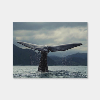 AUTO-MOCKUP WHITE | Whale Tail | 1 Piece | Gallery Wrap | group=4x3