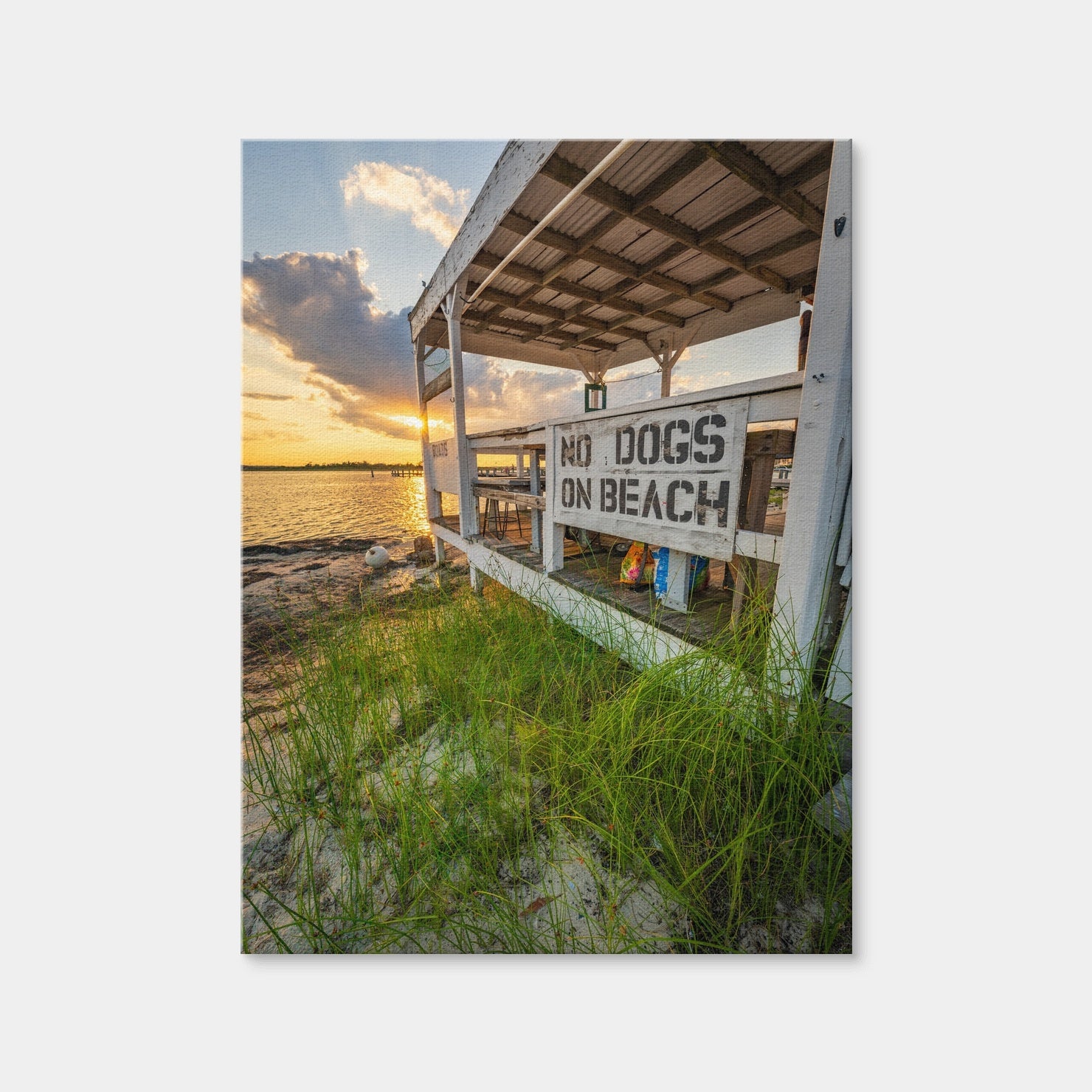AUTO-MOCKUP WHITE | What Sign? | 1 Piece | Gallery Wrap | group=3x4