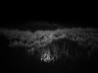 When the Night Listens Wall Art