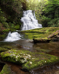 Whiplash Falls Wall Art