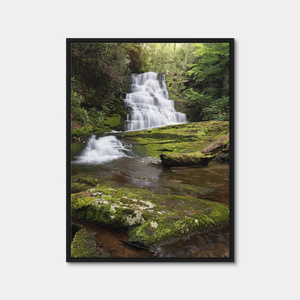 Whiplash Falls Wall Art — Framed Canvas Format preview