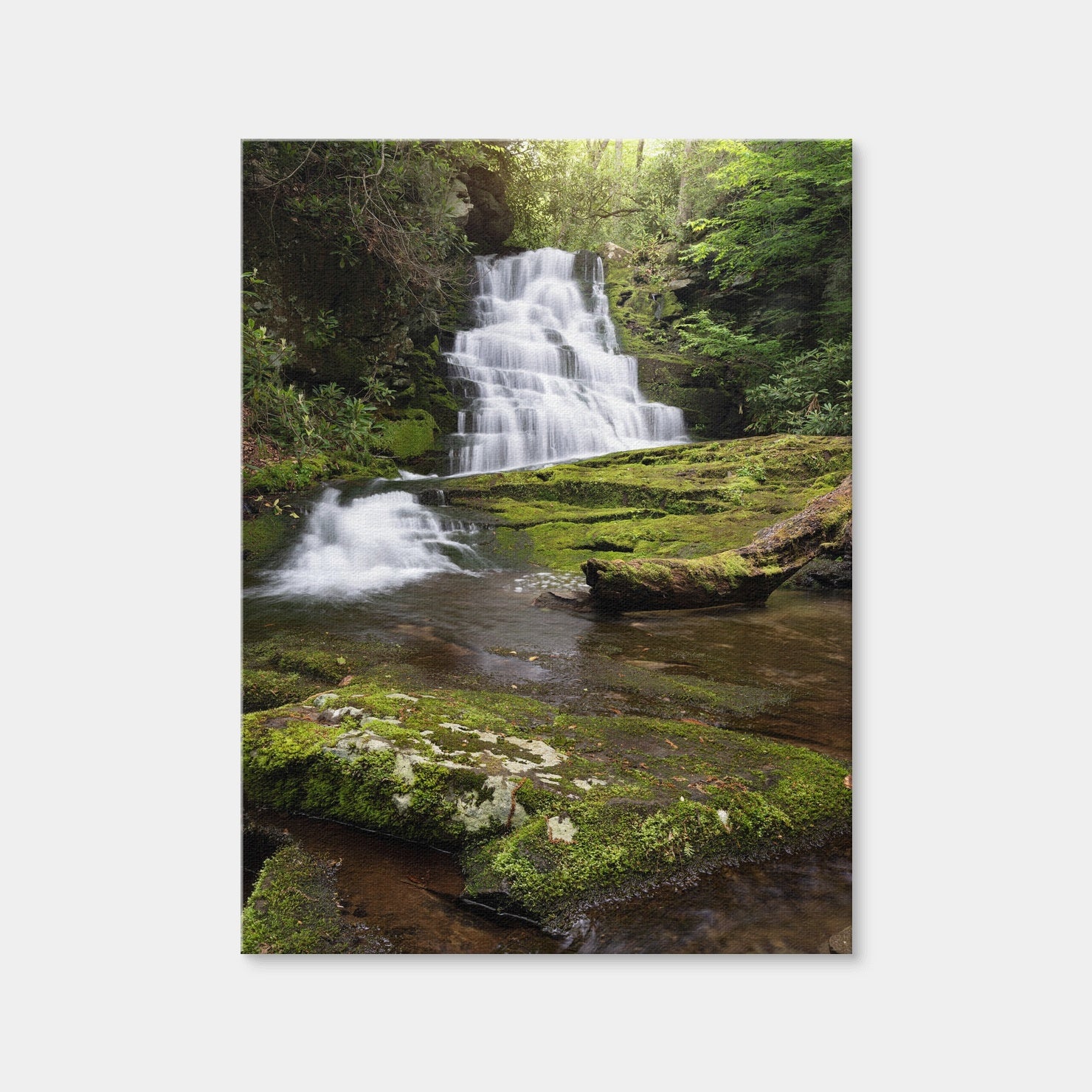 AUTO-MOCKUP WHITE | Whiplash Falls | 1 Piece | Gallery Wrap | group=3x4