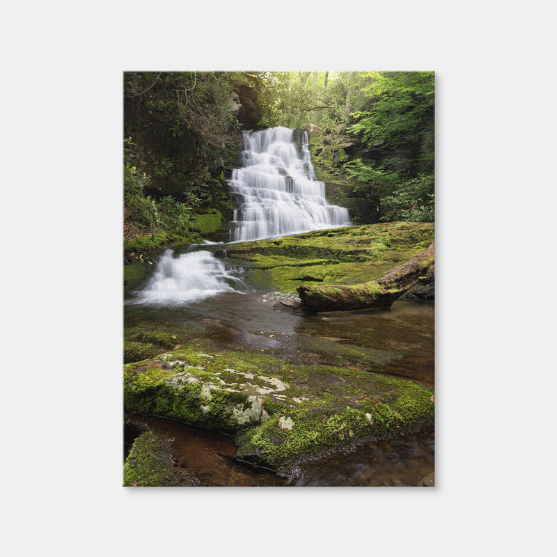 AUTO-MOCKUP WHITE | Whiplash Falls | 1 Piece | Gallery Wrap | group=3x4