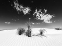 White Sands Impression Monochrome Wall Art