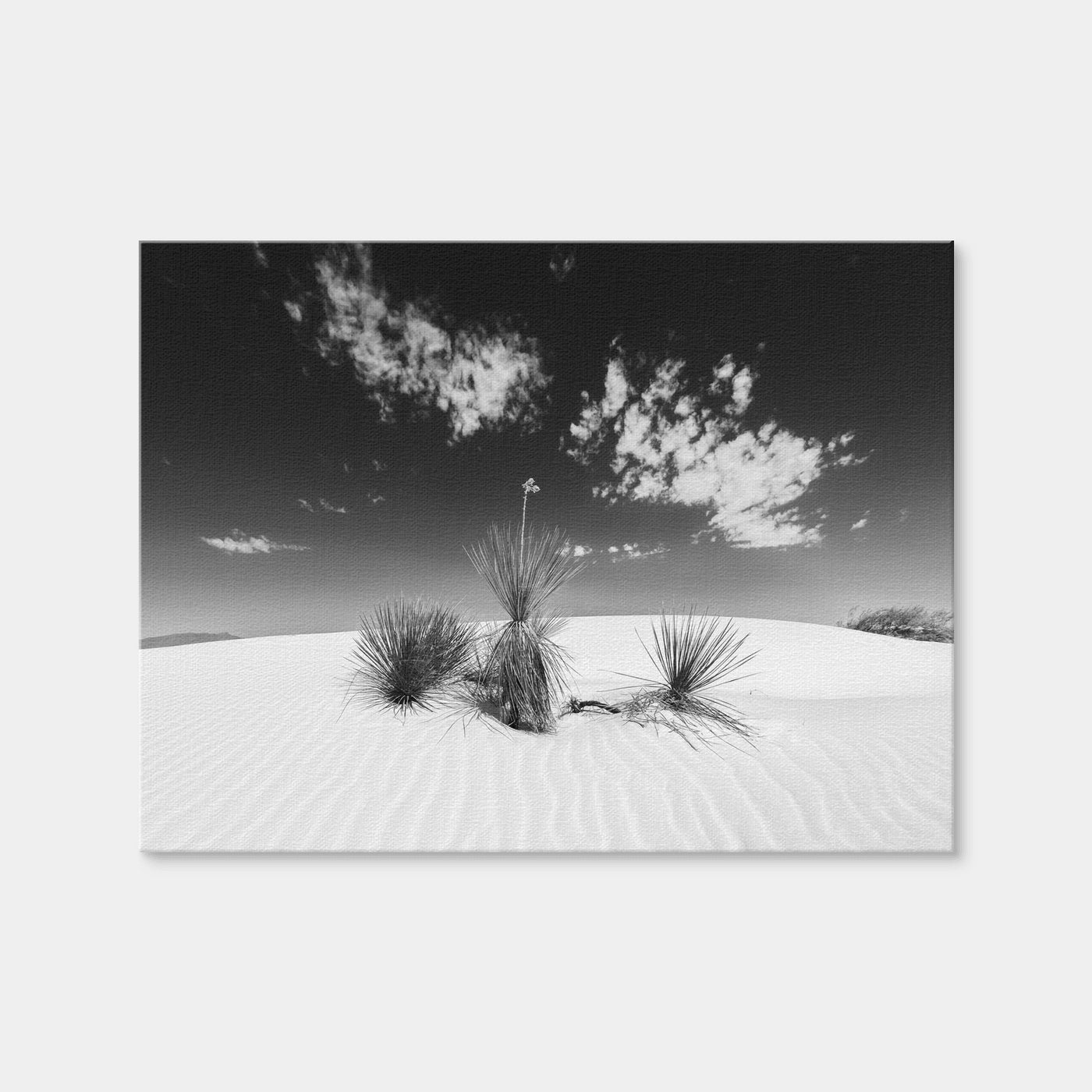 AUTO-MOCKUP WHITE | White Sands Impression Monochrome | 1 Piece | Gallery Wrap | group=4x3