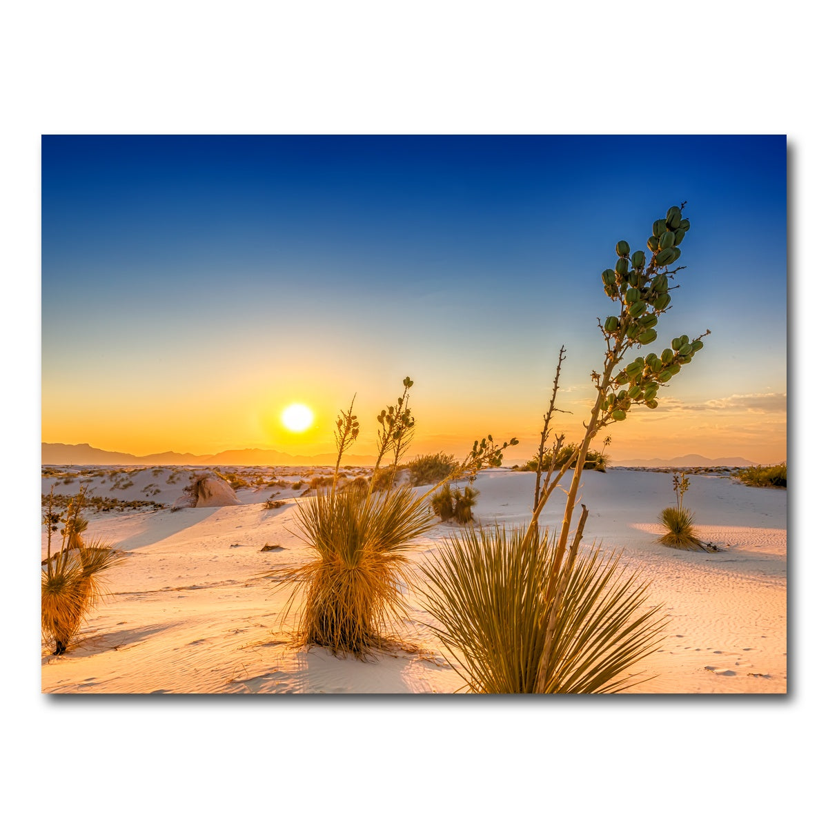 White Sands Sunset Wall Art