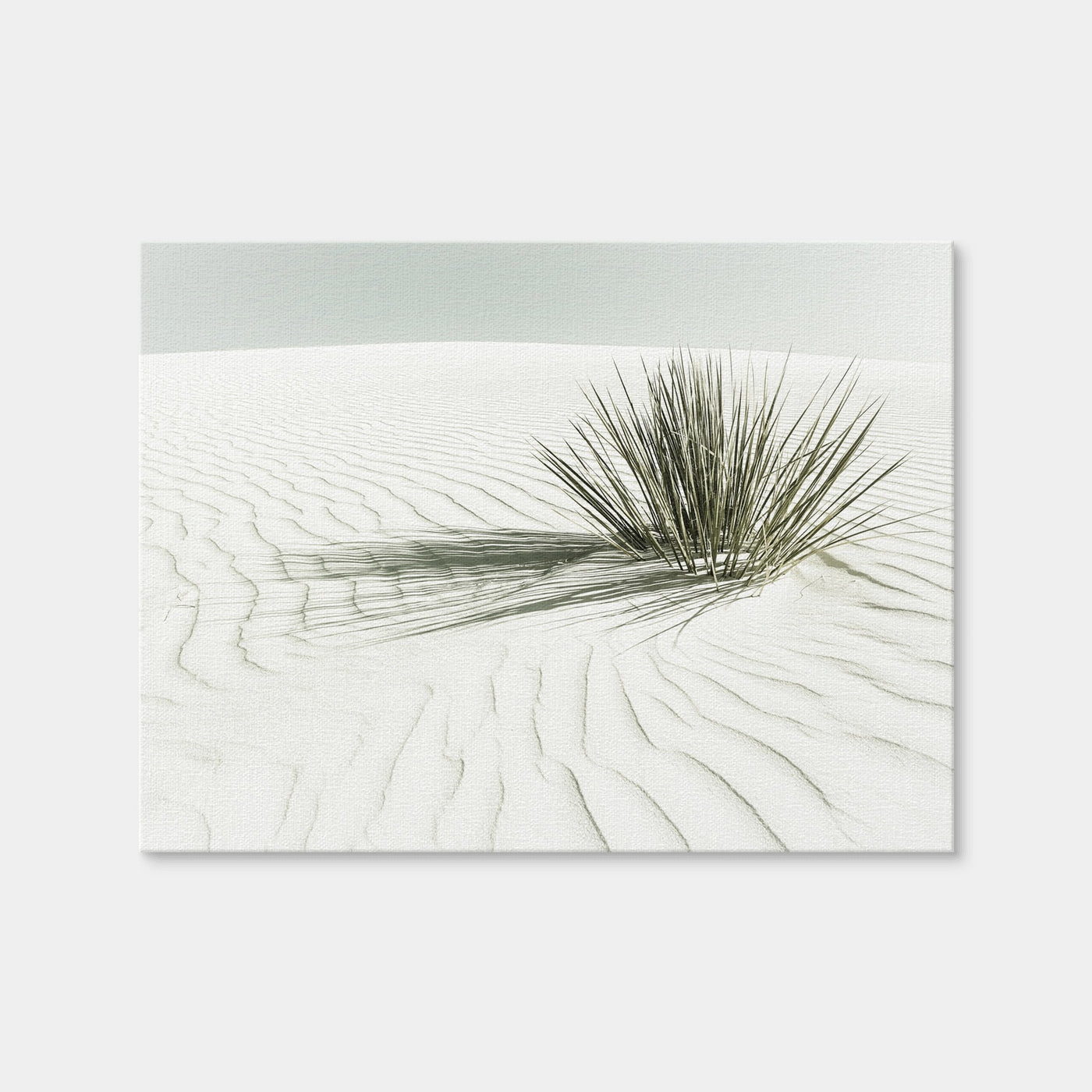 AUTO-MOCKUP WHITE | White Sands Vintage Dune | 1 Piece | Gallery Wrap | group=4x3