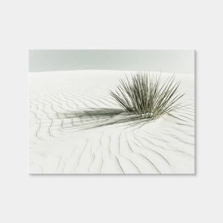 AUTO-MOCKUP WHITE | White Sands Vintage Dune | 1 Piece | Gallery Wrap | group=4x3