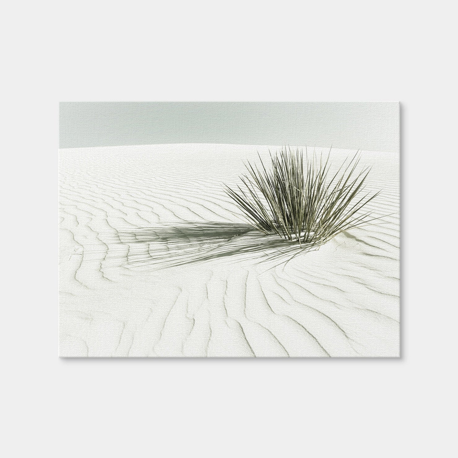 AUTO-MOCKUP WHITE | White Sands Vintage Dune | 1 Piece | Gallery Wrap | group=4x3