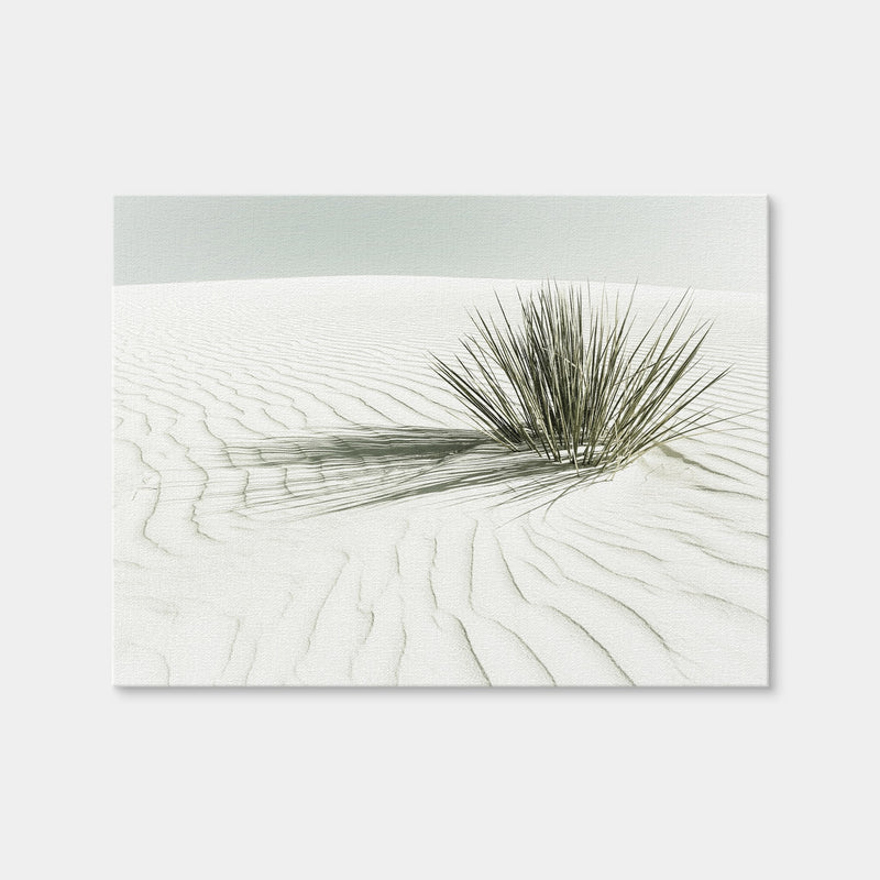 AUTO-MOCKUP WHITE | White Sands Vintage Dune | 1 Piece | Gallery Wrap | group=4x3