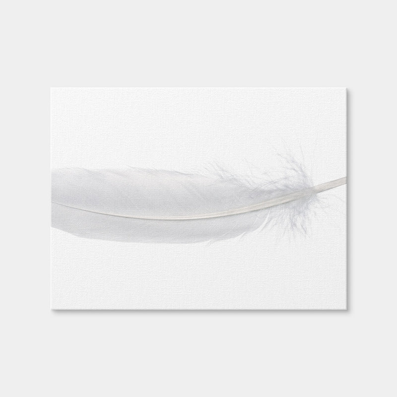 AUTO-MOCKUP WHITE | White Swan Feather | 1 Piece | Gallery Wrap Canvas | group=4x3