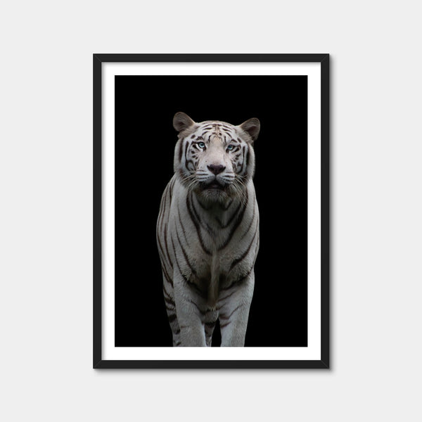 White Tiger Wall Art — Framed Print Format preview