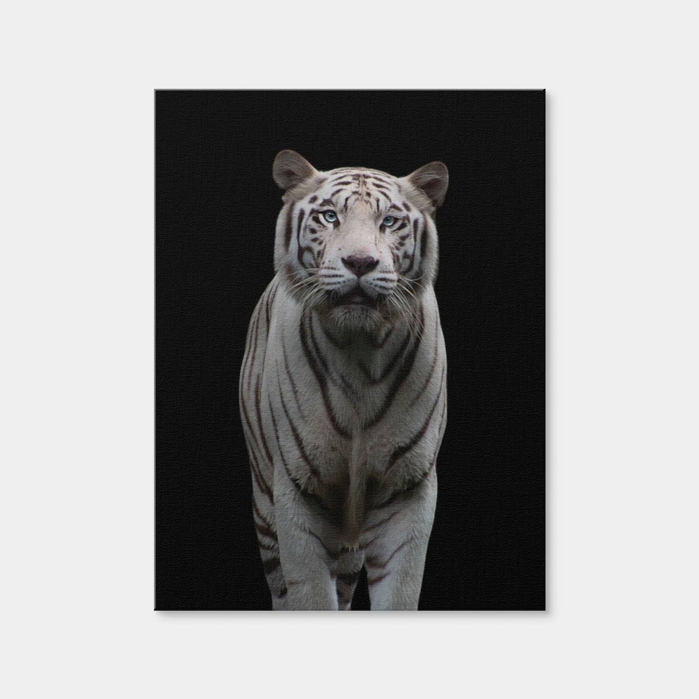 AUTO-MOCKUP WHITE | White Tiger | 1 Piece | Gallery Wrap | group=3x4