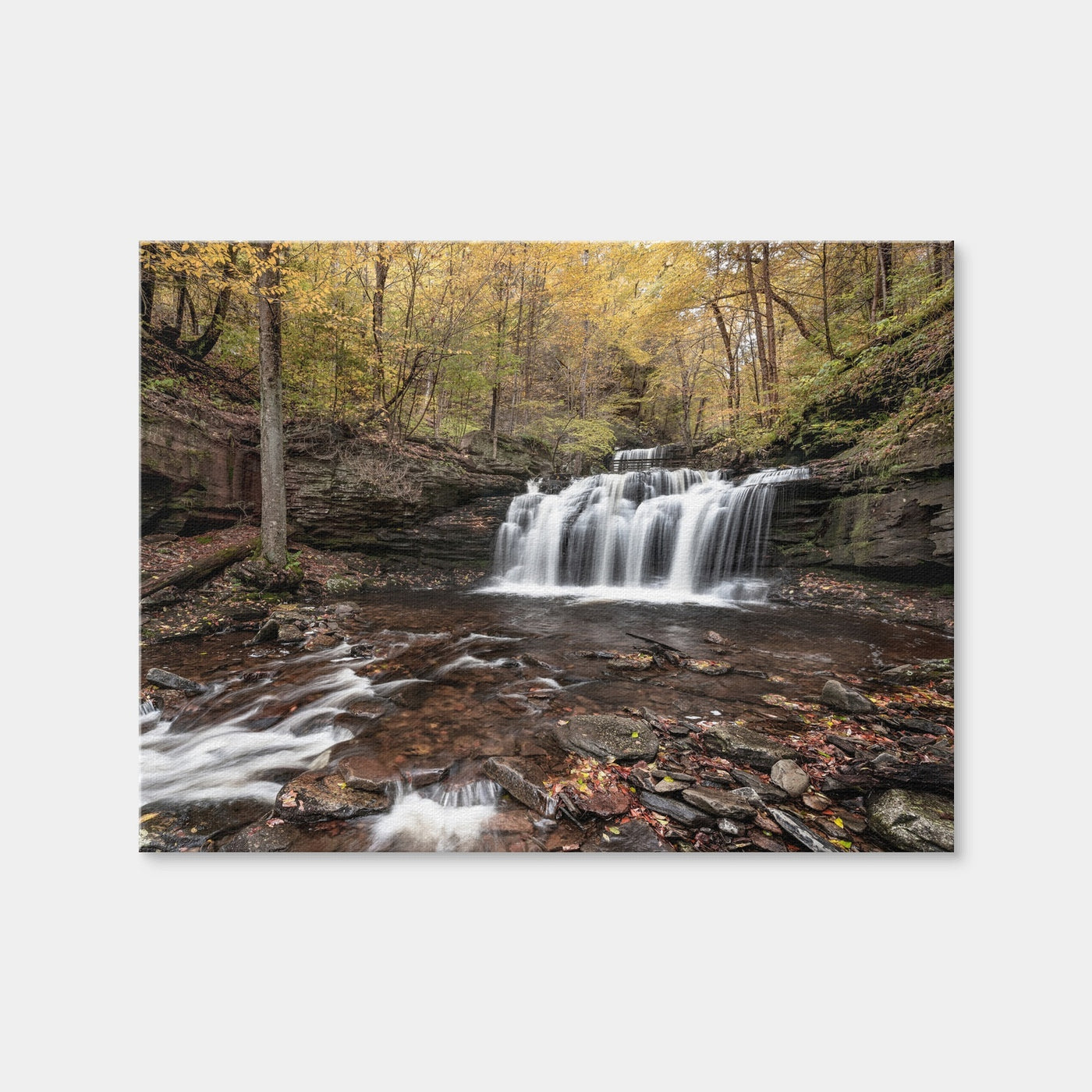AUTO-MOCKUP WHITE | Who Loves Color | 1 Piece | Gallery Wrap | group=4x3