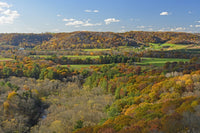 Wildcat Mountain State Park Wall Art