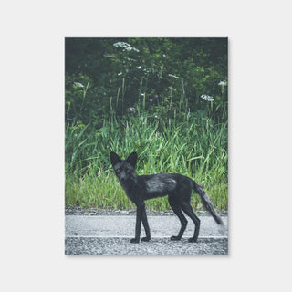 AUTO-MOCKUP WHITE | Wildlife Northern BC | 1 Piece | Gallery Wrap | group=3x4
