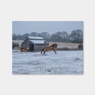 AUTO-MOCKUP WHITE | Williamston South Carolina Farm Horse | 1 Piece | Gallery Wrap | group=4x3