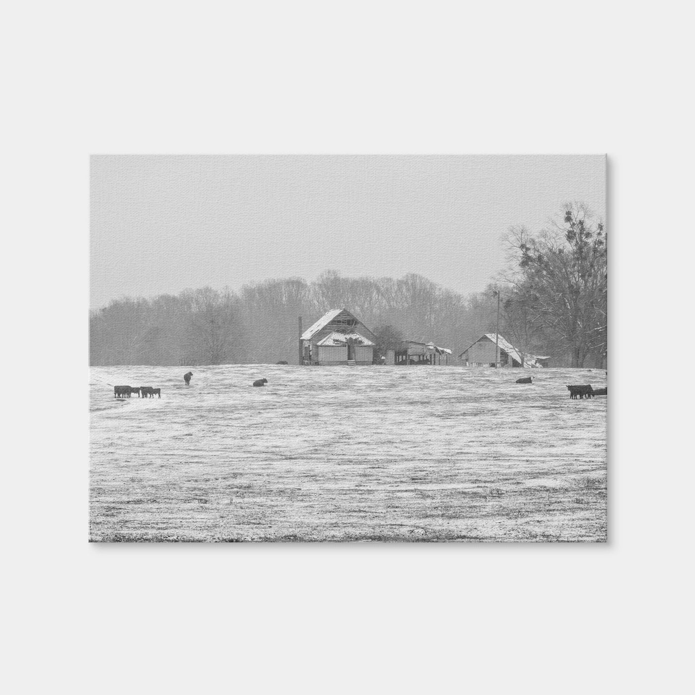 AUTO-MOCKUP WHITE | Williamston South Carolina | 1 Piece | Gallery Wrap | group=4x3