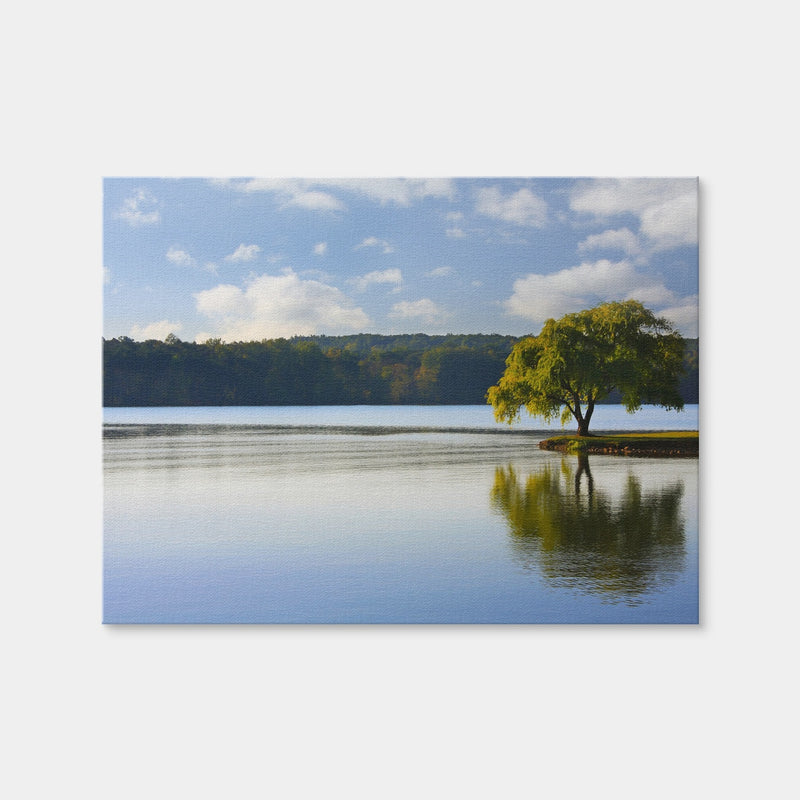 AUTO-MOCKUP WHITE | Willow Tree On The Tennessee River | 1 Piece | Gallery Wrap | group=4x3