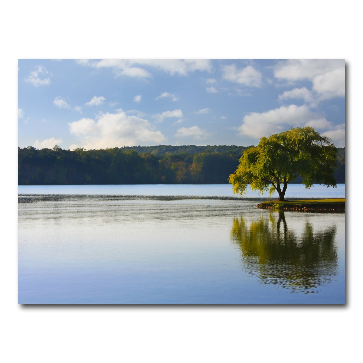 AUTO-MOCKUP WHITE | Willow tree on the Tennessee River | 1 Piece | Gallery Wrap Canvas | group=4x3