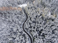 Winding Winter Wall Art