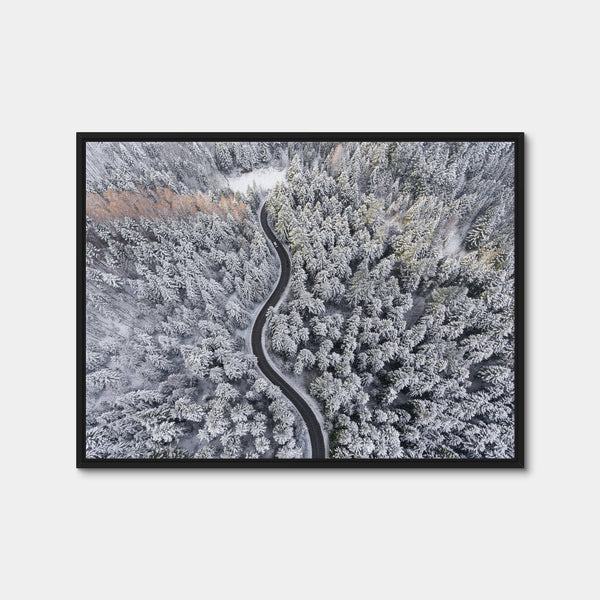 Winding Winter Wall Art — Framed Canvas Format preview