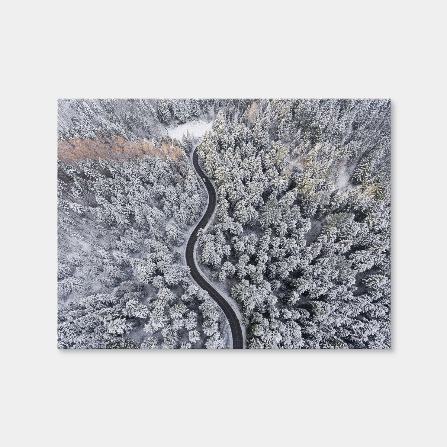AUTO-MOCKUP WHITE | Winding Winter | 1 Piece | Gallery Wrap | group=4x3