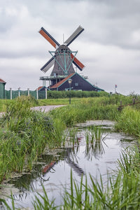 Windmill In Holland Wall Art