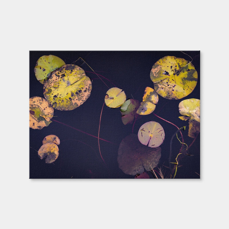 AUTO-MOCKUP WHITE | Winter Lillies | 1 Piece | Gallery Wrap | group=4x3