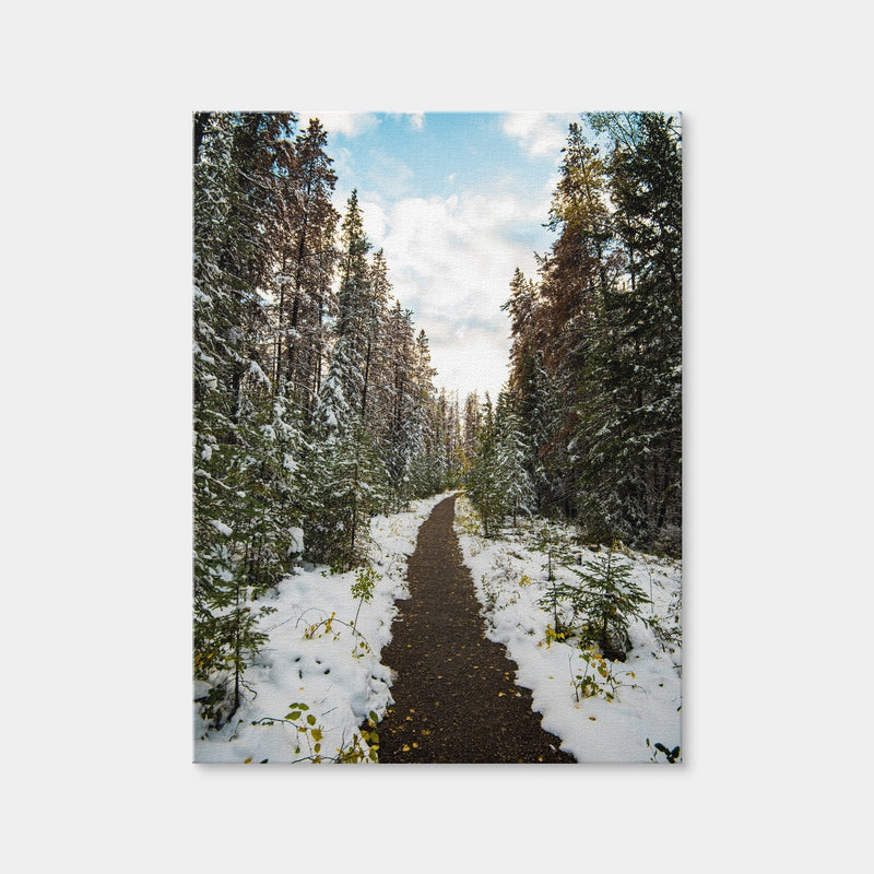 AUTO-MOCKUP WHITE | Winter Path | 1 Piece | Gallery Wrap | group=3x4