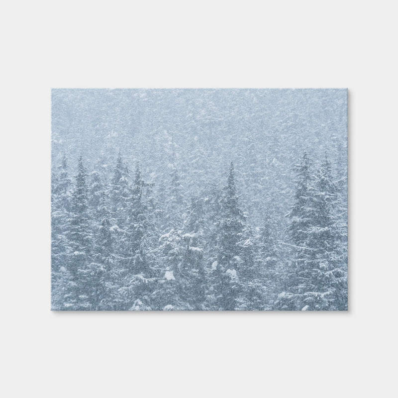 AUTO-MOCKUP WHITE | Winter Shames | 1 Piece | Gallery Wrap | group=4x3