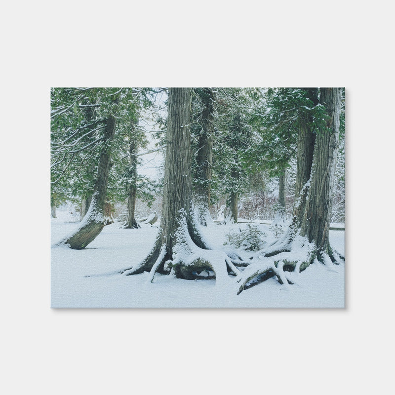 AUTO-MOCKUP WHITE | Winter in Northern BC 1 | 1 Piece | Gallery Wrap Canvas | group=4x3